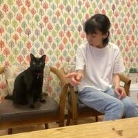 画像1542：A級競技会　平林組